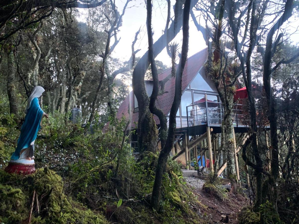 Mirador Bosque Gran Torino Neusa Cogua エクステリア 写真