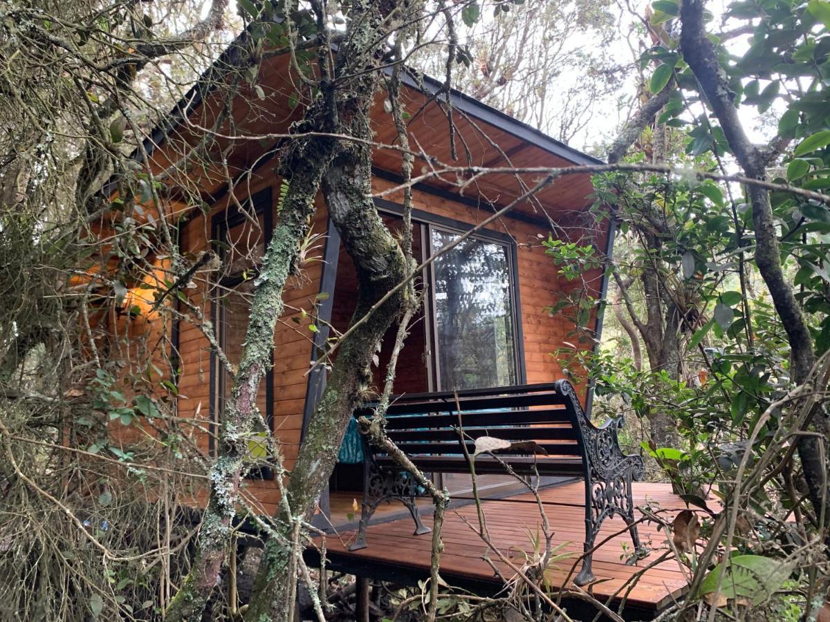 Mirador Bosque Gran Torino Neusa Cogua エクステリア 写真