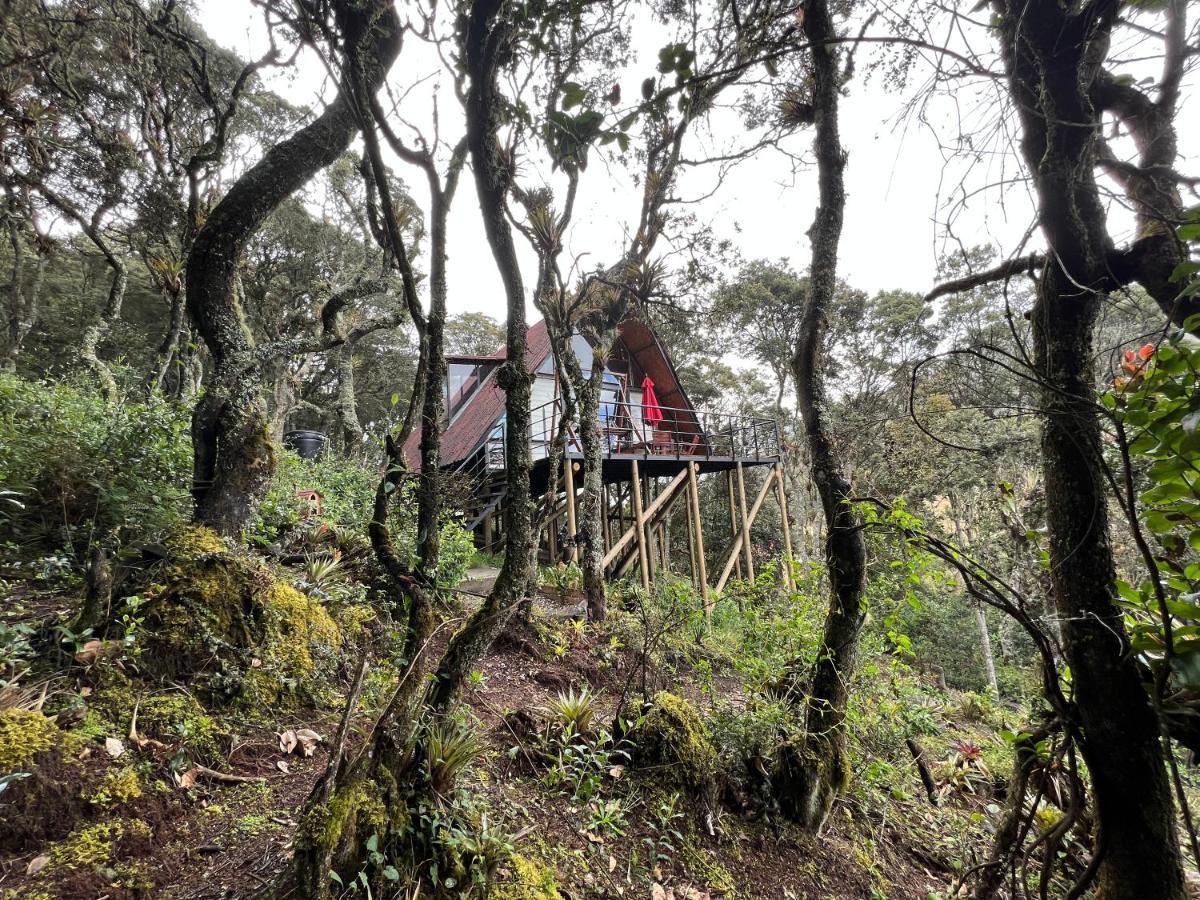 Mirador Bosque Gran Torino Neusa Cogua エクステリア 写真